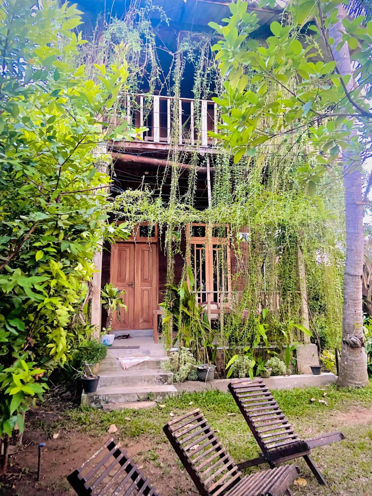 Coconut Island Yala Safari Place Tissamaharama Dış mekan fotoğraf